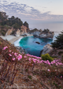 Naked Ladies at McWay Falls